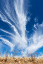 Feathery White Clouds In Blue Sky