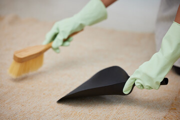 Sticker - The joys of pet hair and carpets. Cropped shot of an unrecognizable using a hand broom and dustpan to clean her carpet at home.