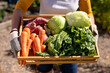 © Wavebreak Media - Midsection of caucasian mature woman holding wooden crate with various vegetables