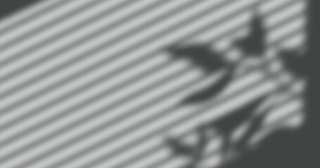 Wall Mural - Animation of window shadow of leaves and blinds over grey background