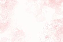 Pink Watercolor Splash Background With Line Art Poeny