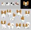 Dog Papillon Cartoon Vector Illustration Color Variation Set