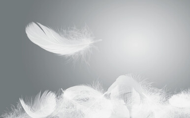 Wall Mural - Soft White Bird Feathers Falling in The Air. Floating Feathers. Down Swan Feathers. 