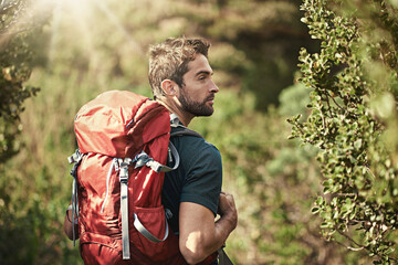 Poster - Heading into nature. Shot of a young man hiking along a nature trail.
