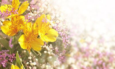 Fotomurales - Lily flowers on sunny nature spring background. Summer scene with Lilies flower of yellow color