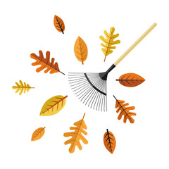 Cleaning of autumn leaves. Fan rake surrounded by colored leaves. Vector illustration isolated on a white background for design and web.