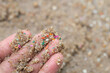 Close-up side shot of hands shows microplastic waste contaminated with the seaside sand. Microplastics are contaminated in the sea. Concept of water pollution and global warming.