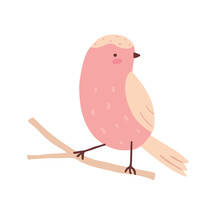 Cute Pink Bird Isolated On White Background. Childish Little Birdie. Simple Vector Illustration.