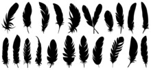 Bird Feather Set Silhouette, Isolated On White Background Vector