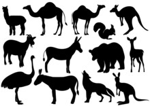 Wild Animals Set Silhouette, Isolated On White Background Vector