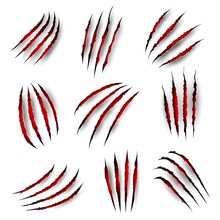 Claw Marks With Blood Scratches Of Tiger Beast Or Lion And Bear, Vector Wild Animal Paw Slashes. Panther Wild Cat Or Monster Werewolf Claw Slashes With Red Bloody Ripped Marks And Scratch Shreds