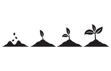 Stage Growth Plants.Life Cycle Of Plant.Phases Plant Growing.Planting Tree. Incremental Agriculture.Development From Seed To Bush.Black Silhouette Vector Flat Illustration.