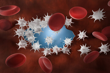 Wall Mural - Platelets repair the wound in the blood vessel. 3d render.