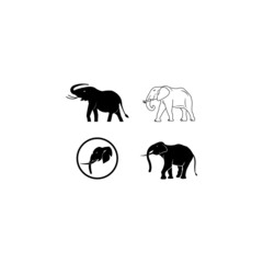 animal alephant logo template vector icon illustration