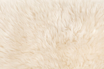 Wall Mural - beige fluffy wool texture background. white natural fur texture. close-up for designers