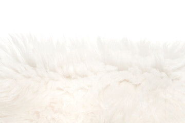Wall Mural - White fluffy wool texture isolated white background. natural fur texture. close-up for designers