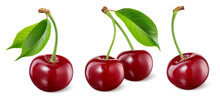 Cherry Isolated. Cherries With Leaf On White Background. Sour Cherri With Clipping Path. Full Depth Of Field.