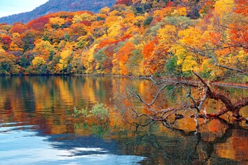 Wall Mural - Fall scenery of beautiful Towada Lake (十和田湖) with colorful autumn trees on lakeside mountains reflected in the peaceful water, in Towada Hachimantai National Park (十和田八幡平国立公園), Aomori, Japan