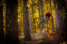 Beautiful Shot Of A Man Riding Bicycle And Wearing Holeshotpunx In Forest During Autumn In Slovakia