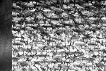 Fototapete - Pixel pattern of a digital glitch / Abstract black and white pixel pattern background of a digital glitch.