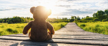 Teddy Bear Sitting On A Path Into The Sun... Copyspace For Your 
