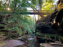 Bridge Over The Stream Flowing Amid Rocks And Dense Trees In The Mossy Forest