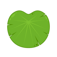 Lily Pad Vector. Lily Cartoon Vector On White Background.