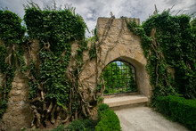 Wall Of A Garden Covered With Green Plants And Tree Roots
