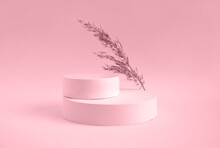 Podium For Cosmetic Product Presentation. Abstract Minimal Geometrical Form. Cylinder Podium Sphere, Two Forms. Soft Shadow. Scene To Show Products. Showcase, Display Case. Dry Pampas Grass. Side View