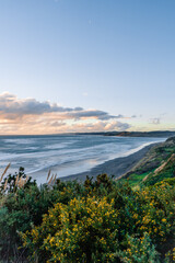 Sticker - Scenic view of the plants on the cliffs and seascape against dusk sky at Ngarunui Beach, New Zealand