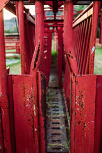Closeup Of Red Colored Cattle Squeeze Chute On Farm In Texas