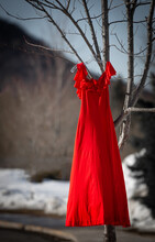 Vertical Shot Of A Red Dress Hanging From A Branch Of A Tree
