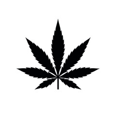 Marijuana leaf icon. Symbol of smoking herb or treatment. Isolated vector illustration on a white background.