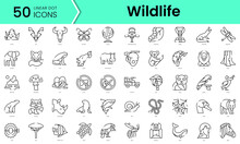 Set Of Wildlife Icons. Line Art Style Icons Bundle. Vector Illustration