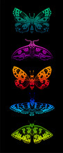 Butterfly Neon Vector Design On Black Background. Abstract Spring Boho Moth Pattern. Sparkle Moth Rainbow Art. Isolated Light Sticker Illustration. Summer Butterfly Set. Bright Effect Cartoon Animal