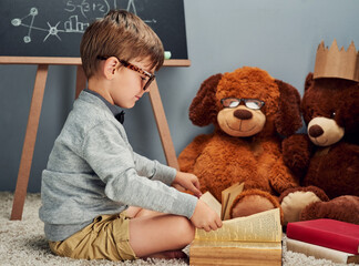 Sticker - Teacher in training. Studio shot of a smart little boy reading a book to his teddy bears against a gray background.