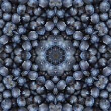 Abstract Background Of Berry Pattern Of A Kaleidoscope. Blue Purple Round Fractal Mandala. Square Kaleidoscopic Arabesque. Geometrical Ornament Bilbberry Pattern With Blueberries