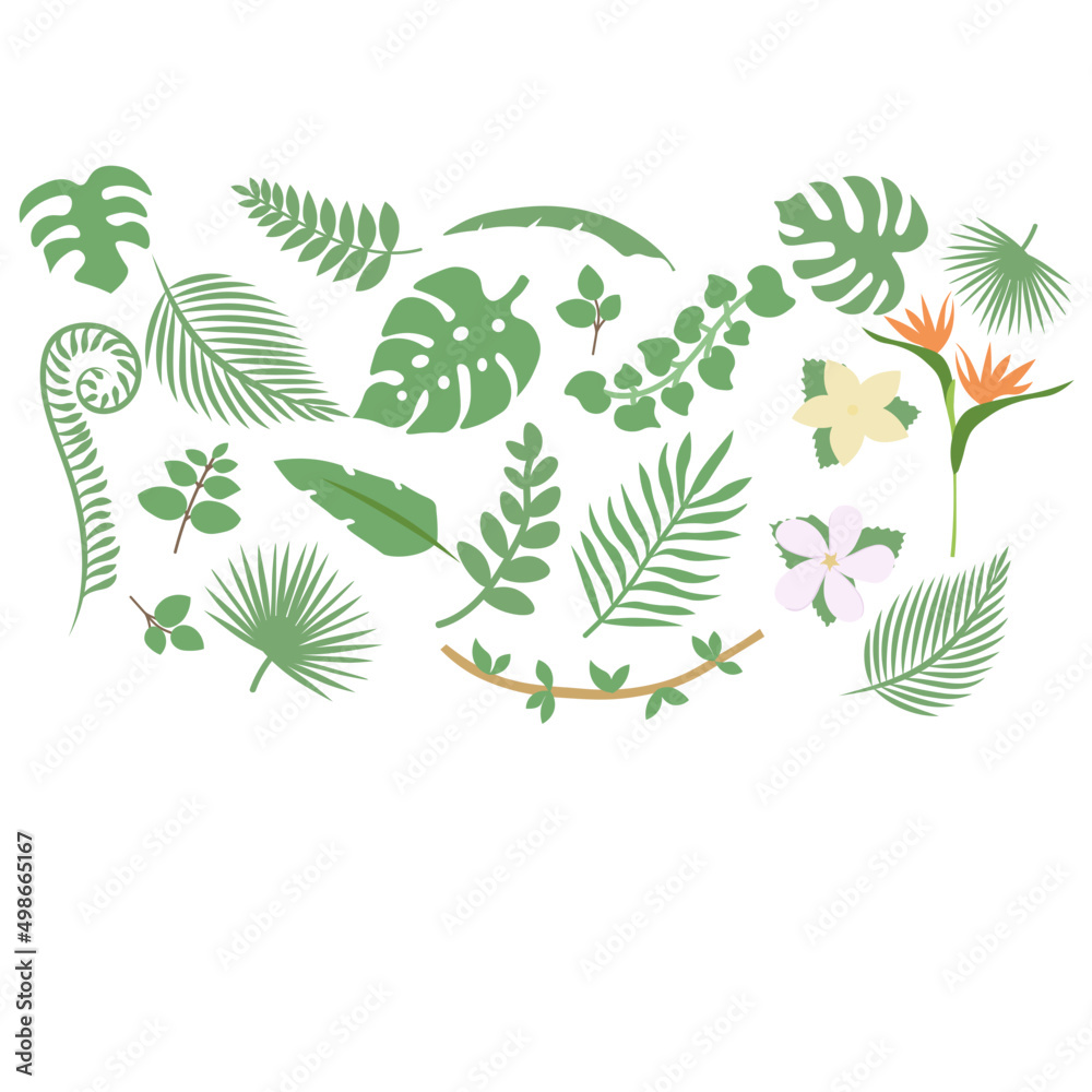set of tropical leaves Stock Vector | Adobe Stock