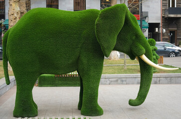 green grass in the form of  Elefant.  Desgin of Elefant. HEDGE CUT LIKE A  ELEPHANTS. art deco. EREVAN, ARMENIA