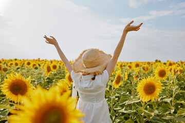 woman with two pigtails in a hat on a field of sunflowers countryside