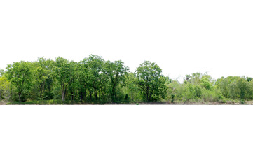 View of a High definition Treeline isolated on a white background