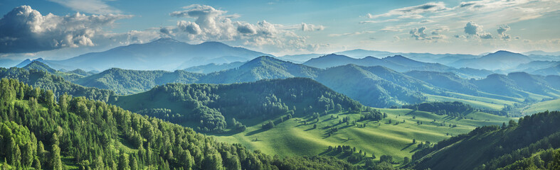 Wall Mural - Picturesque valley, panoramic mountain view, spring greens of forests and meadows