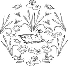 Vector Set Of Doodle Inhabitants Of The Pond, Swamp Isolated On White Background. Animals And Plants: Snails, Reeds, Water Lilies, Ducks, Frogs, Dragonflies. Hand Drawing.