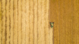Fototapeta Na ścianę - Aerial view combine harvester harvesting on the field