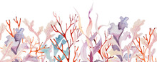  Watercolor Seamless Border Made From Seaweeds And Coral In Pastel Colors. Illustration