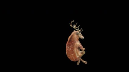 Wall Mural - deer dancing cg fur 3d rendering animal realistic cgi vfx animation loop composition 3d mapping cart