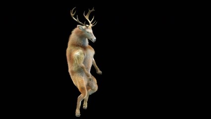 Wall Mural - deer dancing cg fur 3d rendering animal realistic cgi vfx animation loop composition 3d mapping cart