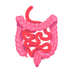 Poster - Guts semi flat color vector object. Digestive system. Full sized item on white. Human organ anatomy. Internal organ. Simple cartoon style illustration for web graphic design and animation