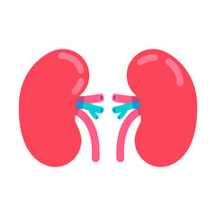 Poster - Kidneys semi flat color vector object. Bean-shaped organs. Full sized item on white. Surgical procedure. Human organ anatomy. Simple cartoon style illustration for web graphic design and animation