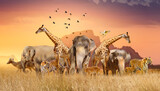 Fototapeta Sawanna - World Wildlife Day  Groups of wild beasts were gathered in large herds in the open field in the evening when the golden sun was shining.